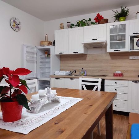 Apartman Pod Bozim Darem Jáchymov Extérieur photo