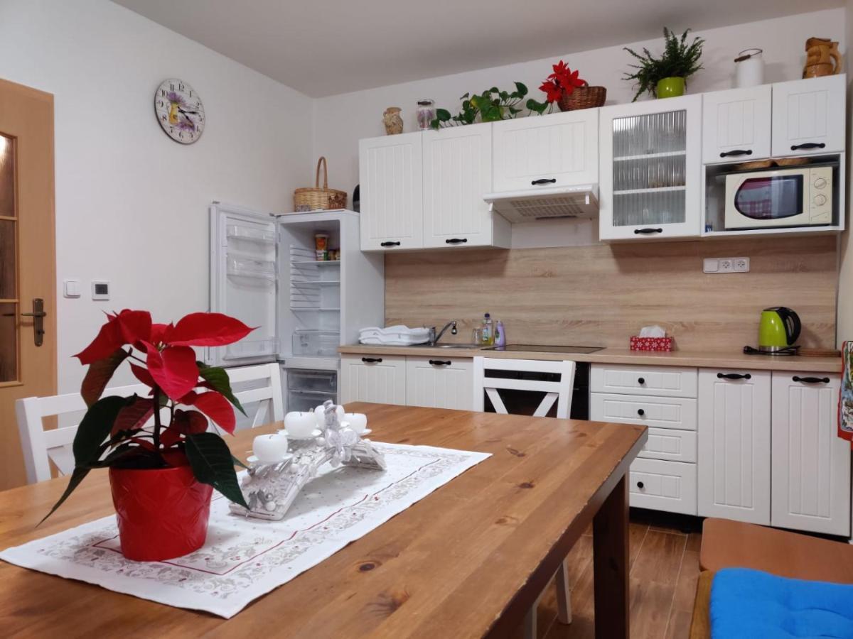 Apartman Pod Bozim Darem Jáchymov Extérieur photo